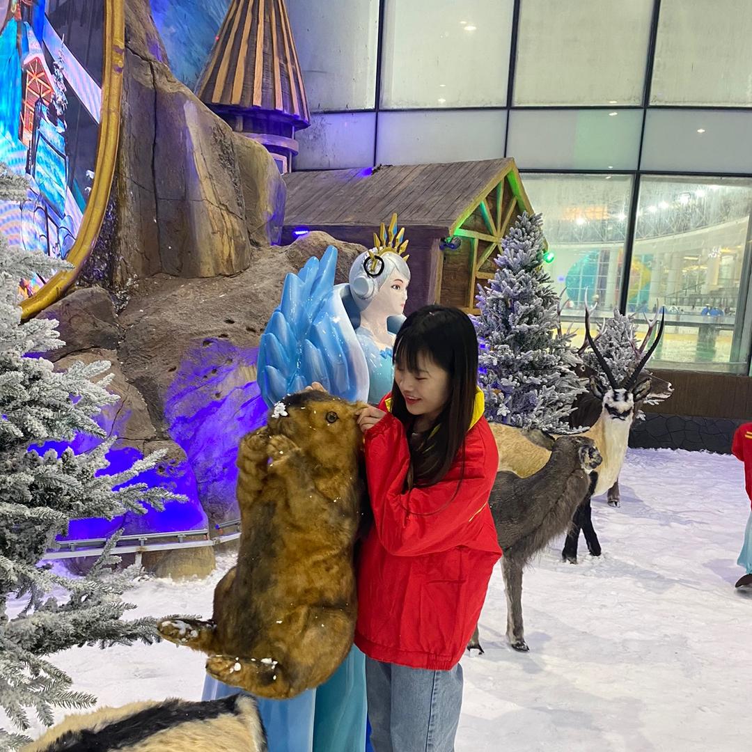 小杨（杨咩咩）