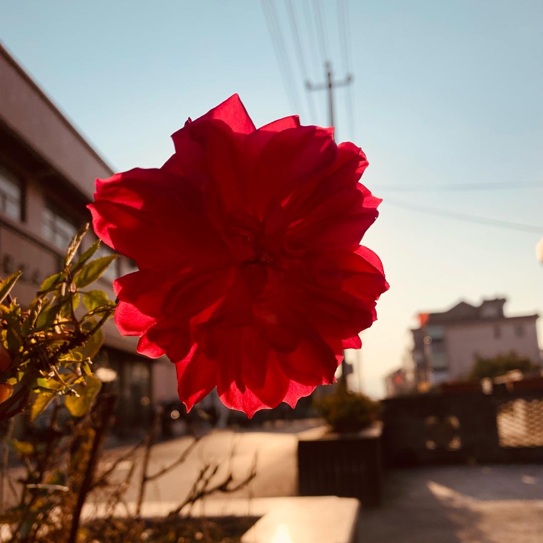 抓不住的风