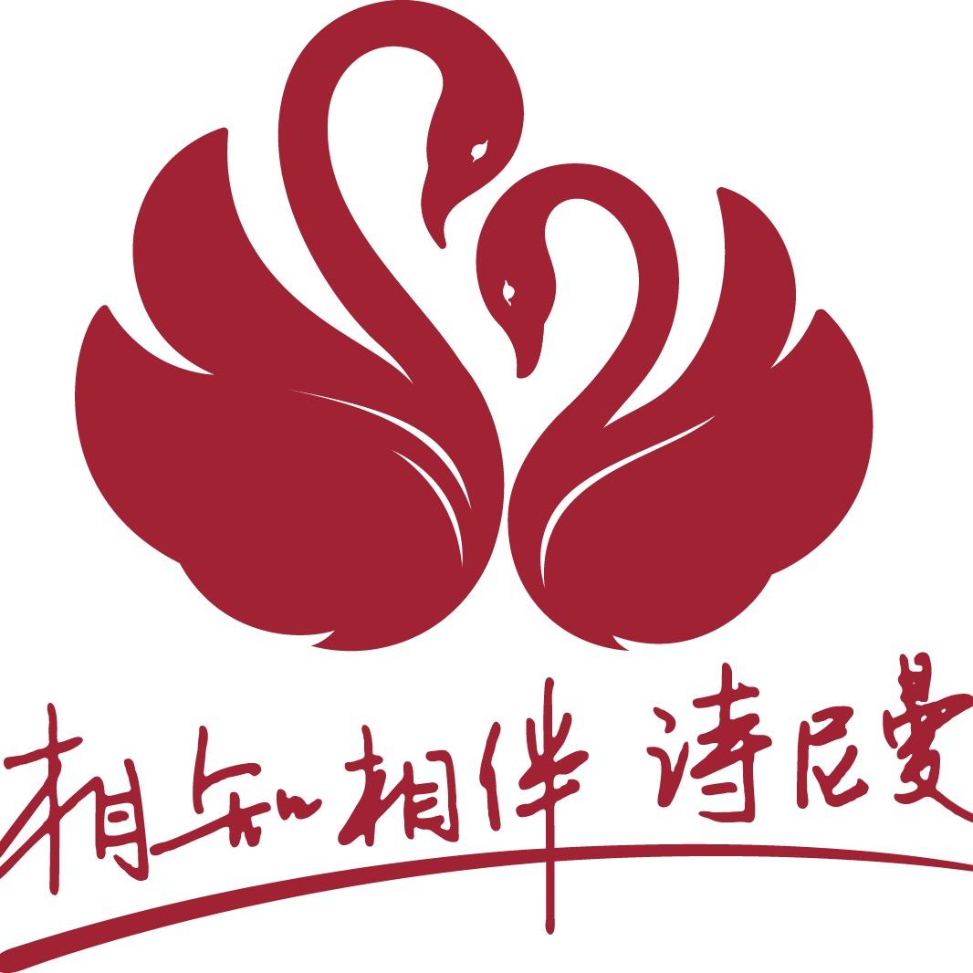 丁丁—定制