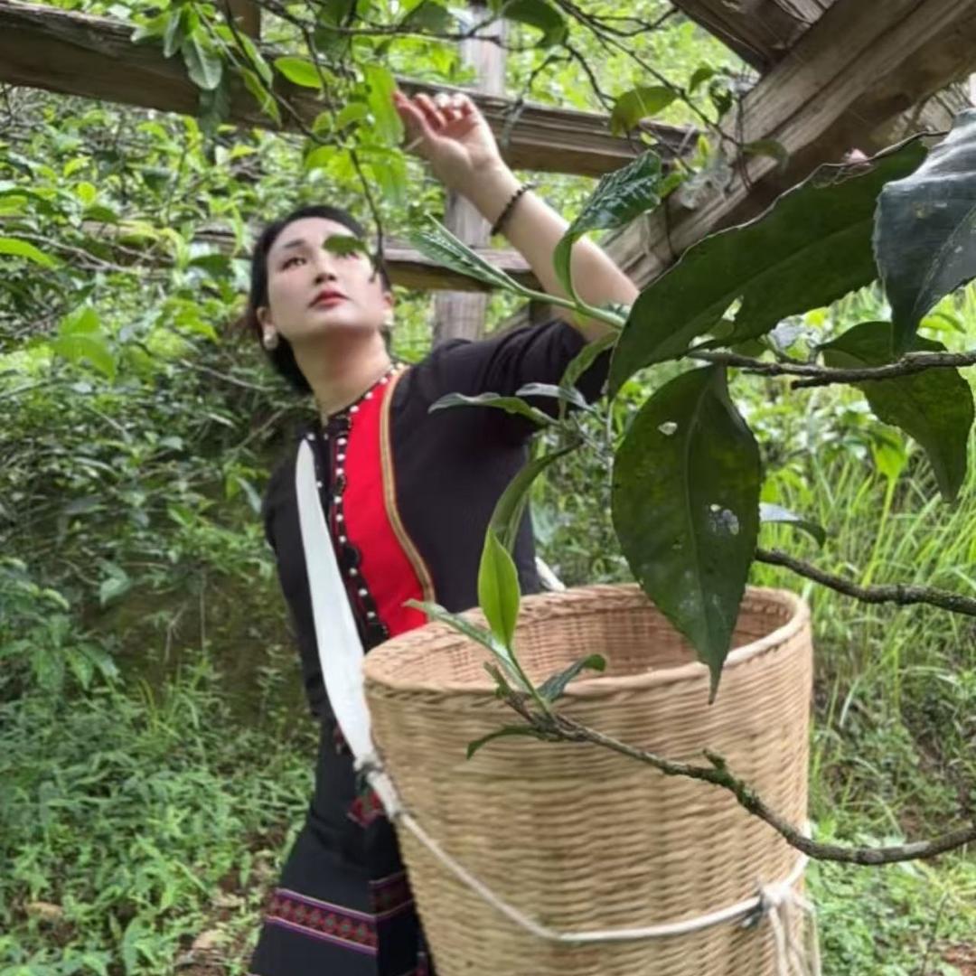 双江县沁香阁茶叶店