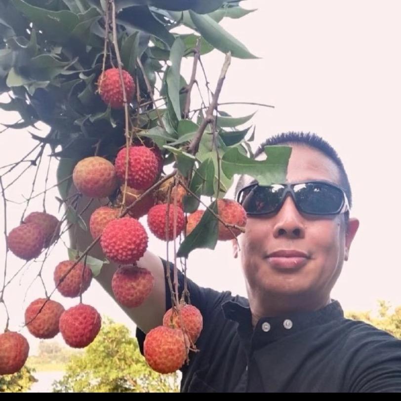 陈哥专注水果十年💪