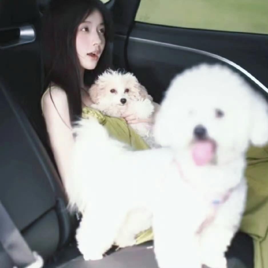 熊熊
