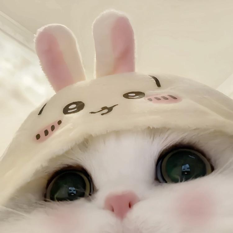 辞梦・