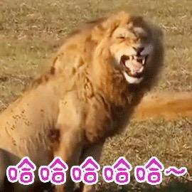 诺_言