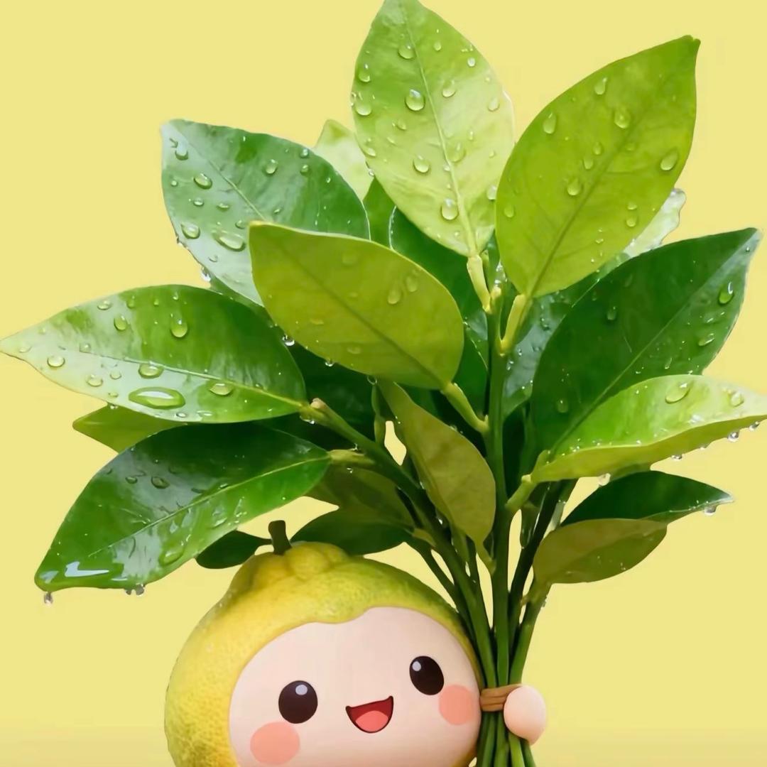 三个孩子的漂亮妈妈