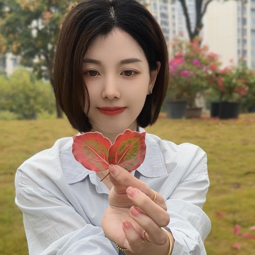 🍁