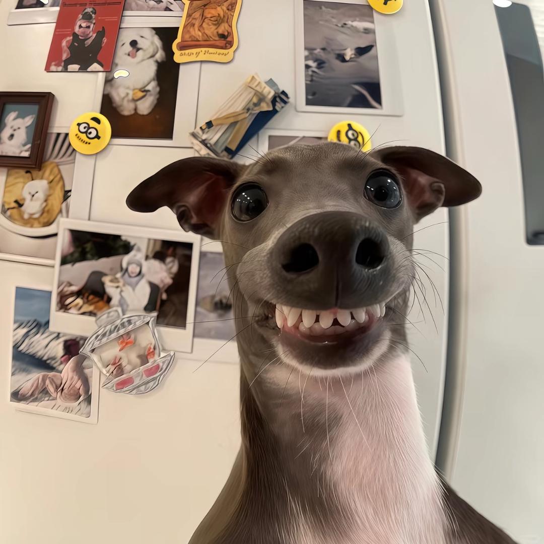 XXx