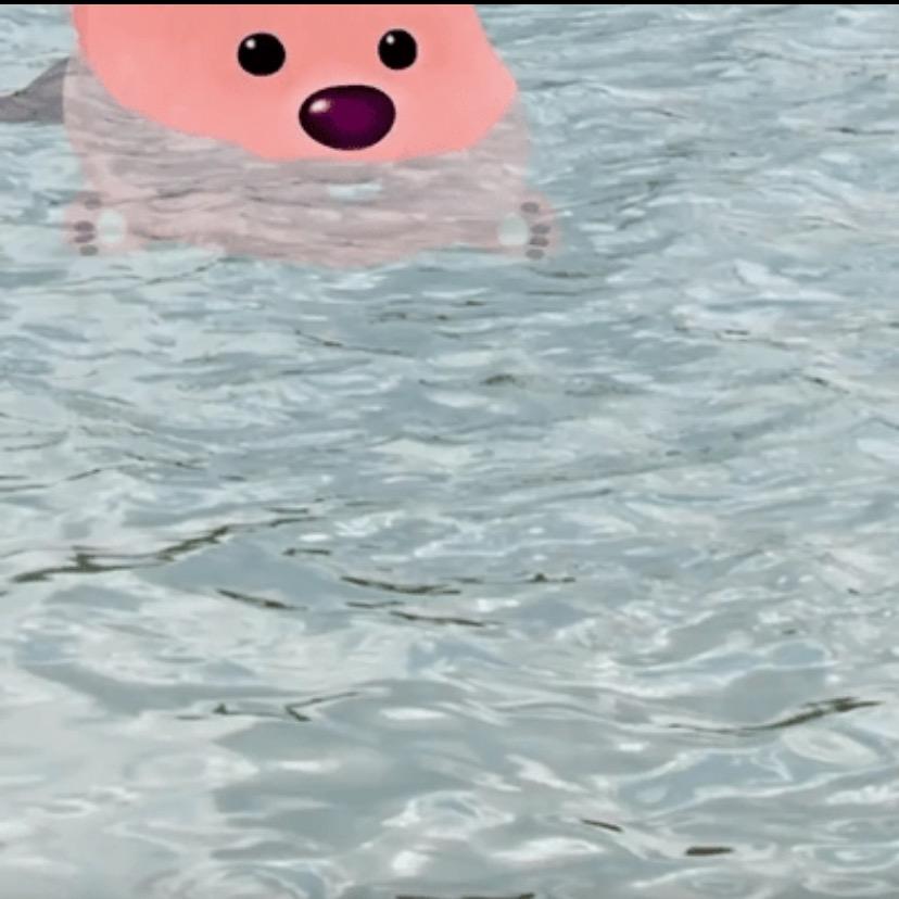 vvv-