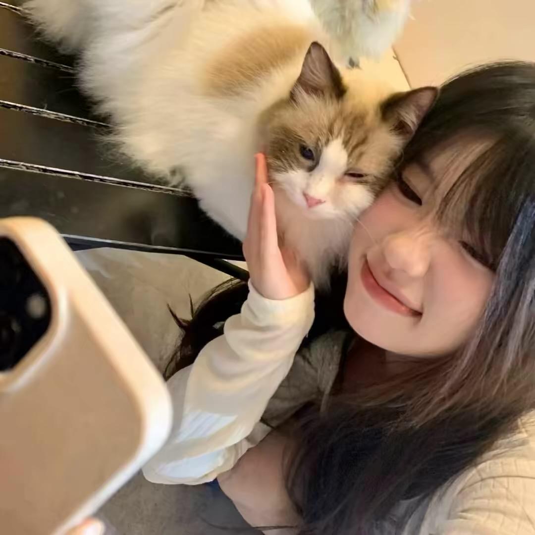、