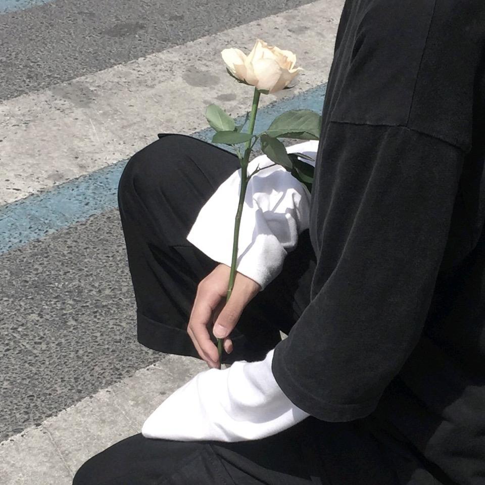 不吃香菜