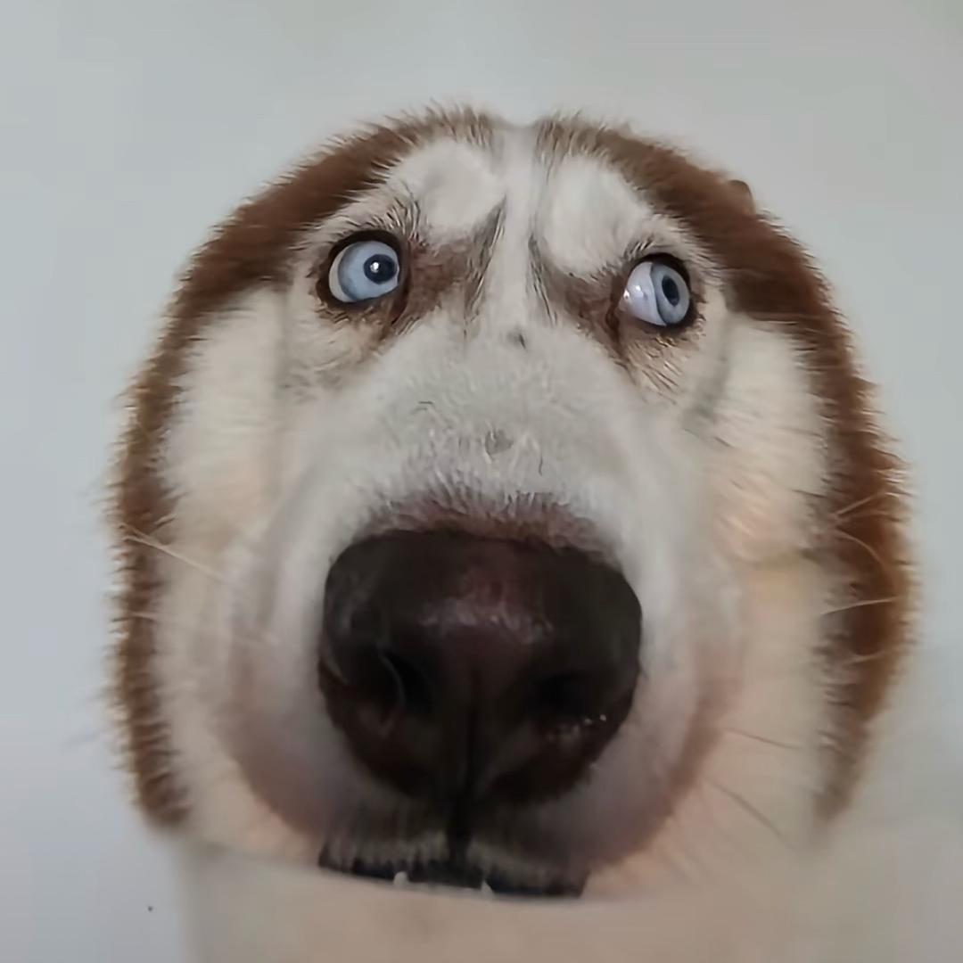 小林