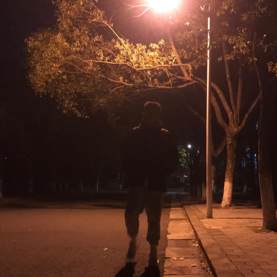 枫🍁