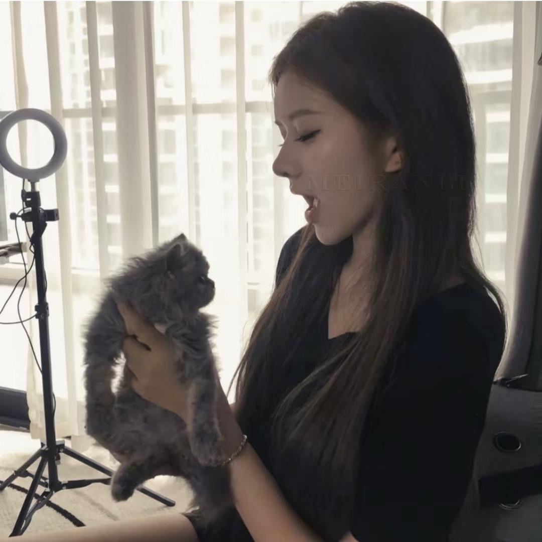 晚安小鱼干