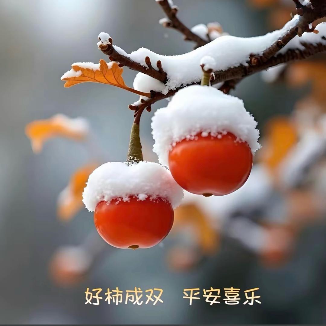 家有宝贝
