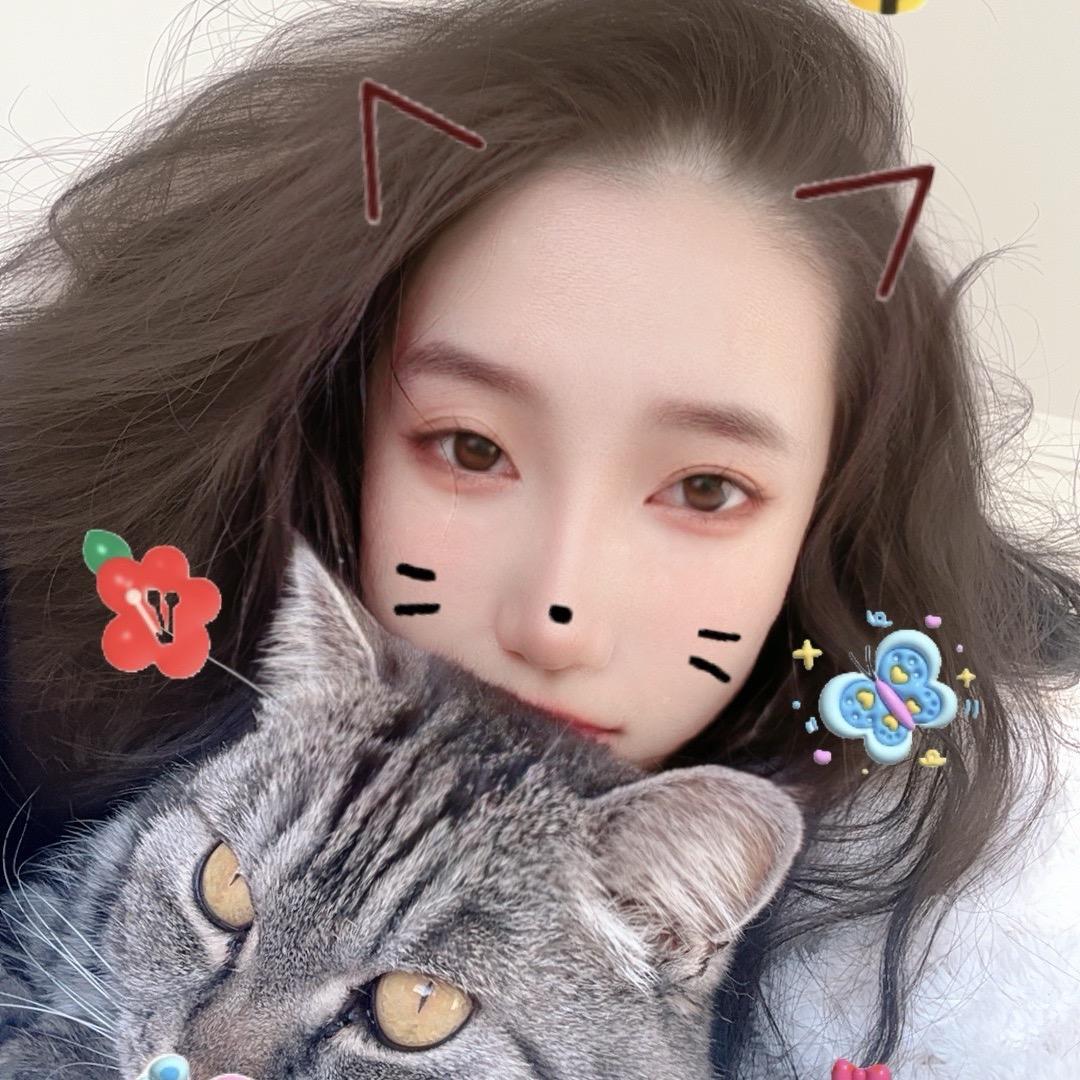 小猫咪8岁正是闯荡的年纪