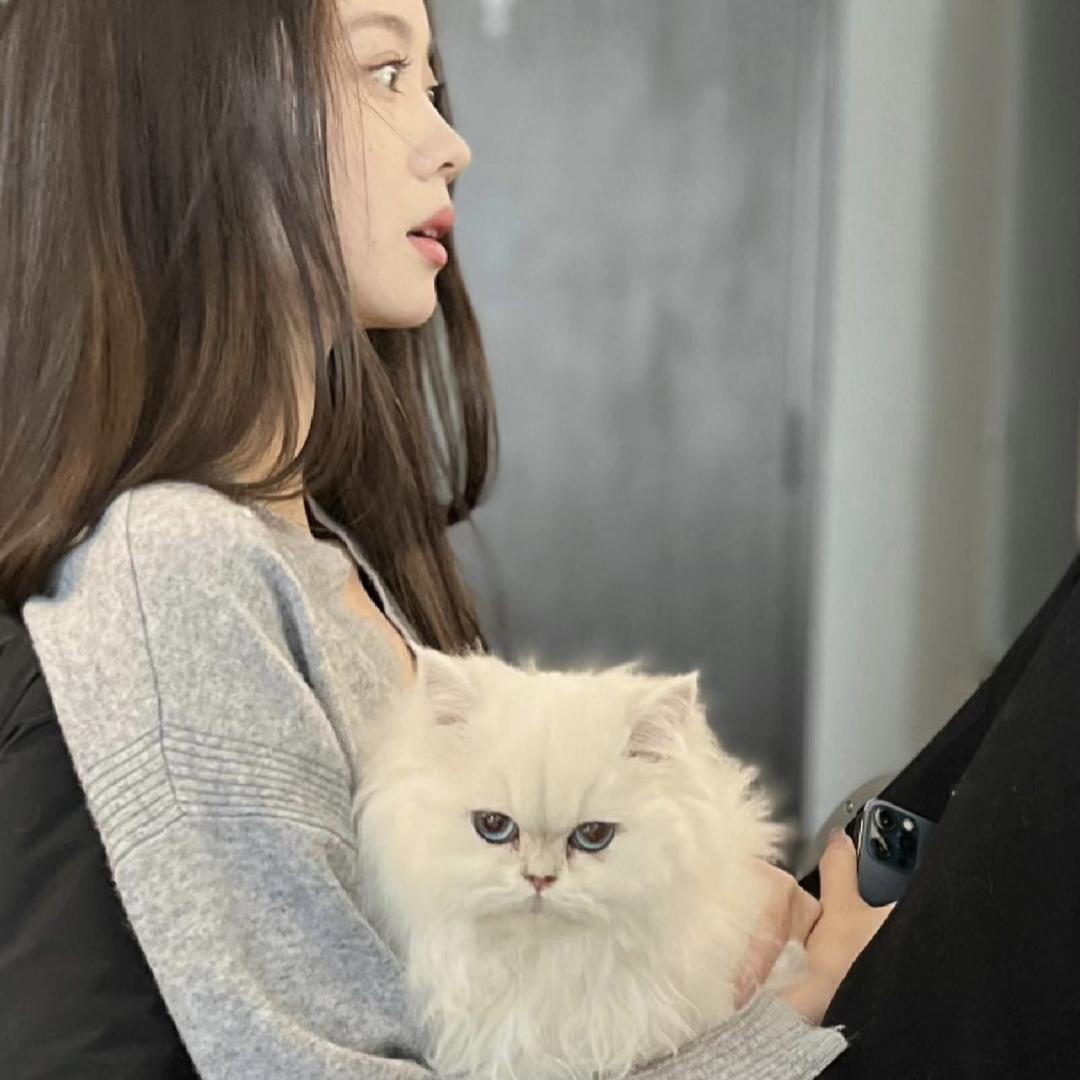 是你麋鹿了吗