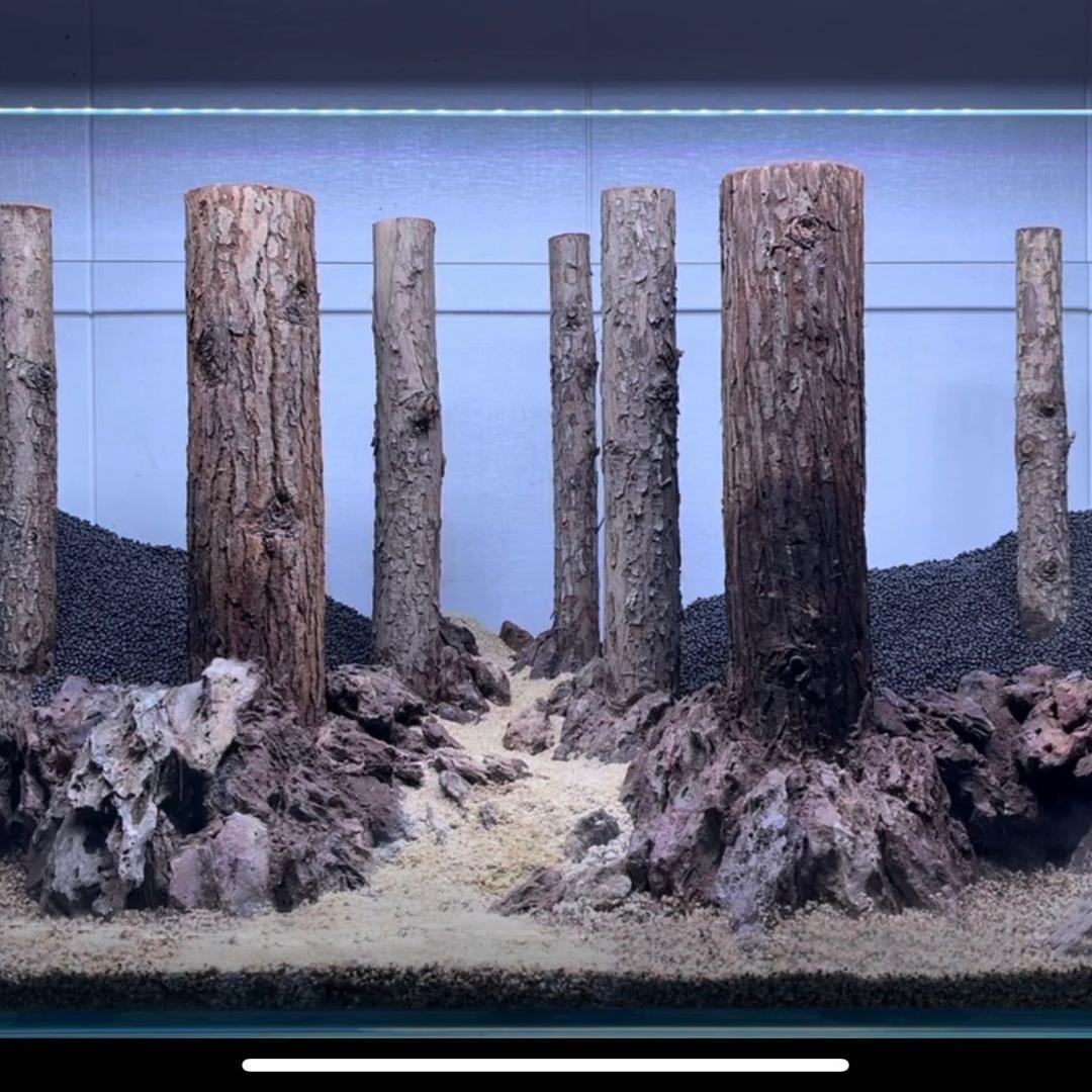 光华水族授权号