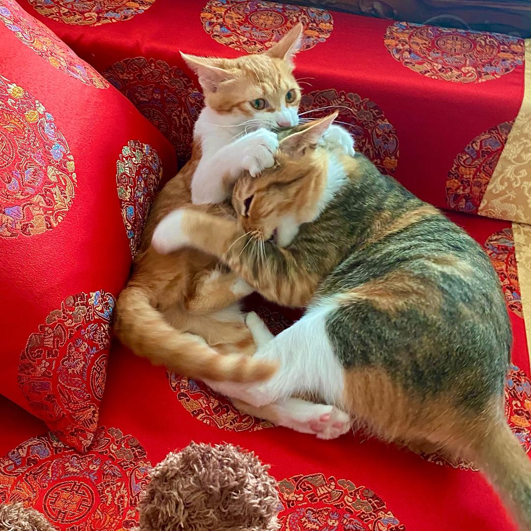 哈哈哈哈哈哈哈哈哈哈哈