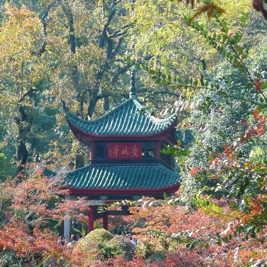 ༄℘🌸林一🦋࿐