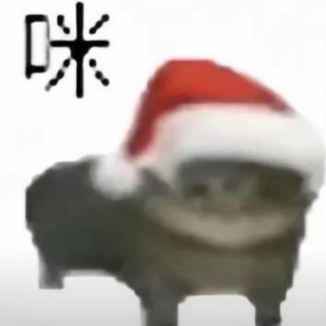 Ray