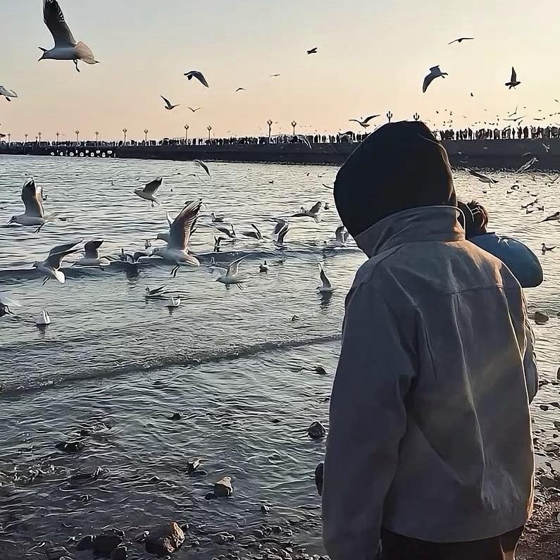逢海🍂