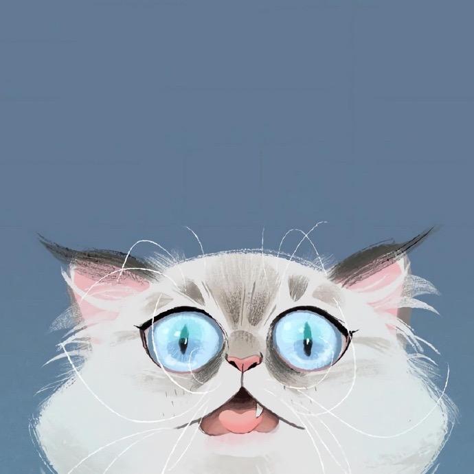 容么么