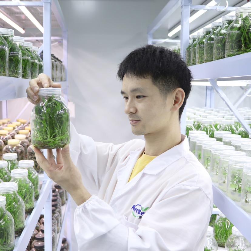 组培农人