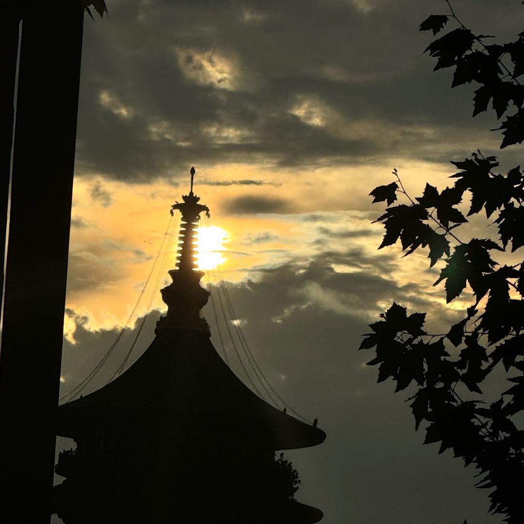 善渊师兄