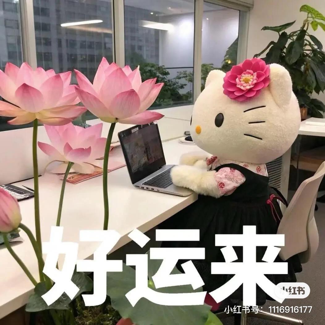 无所屌谓