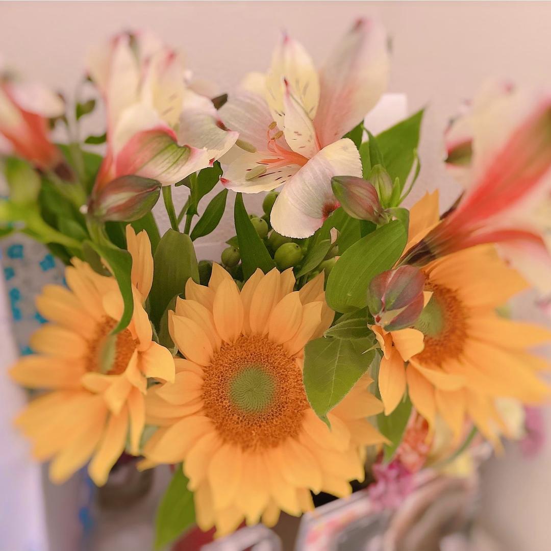 🇨🇳蚕食🇨🇳