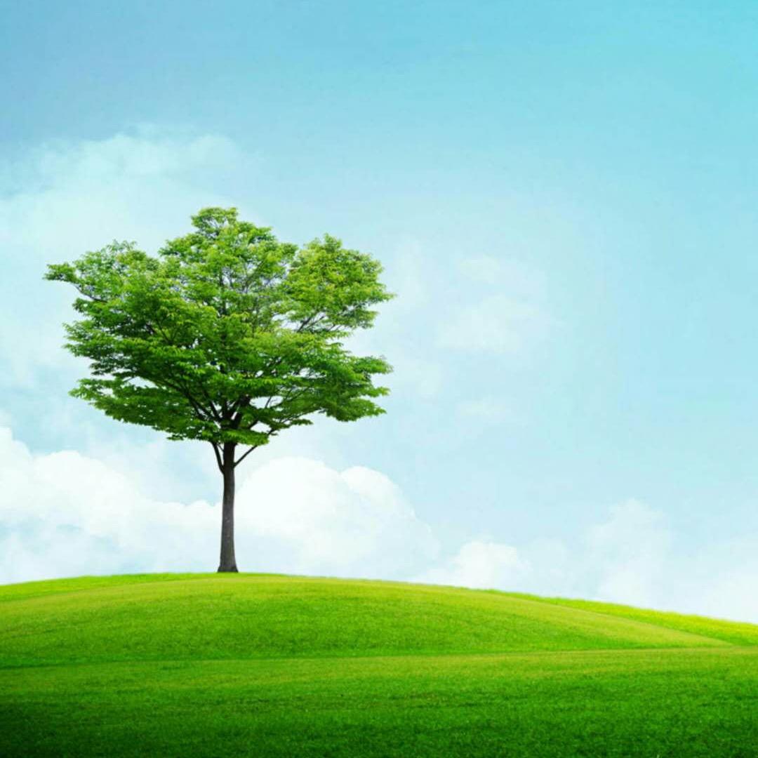 🌈🙏达通商贸🌈🙏