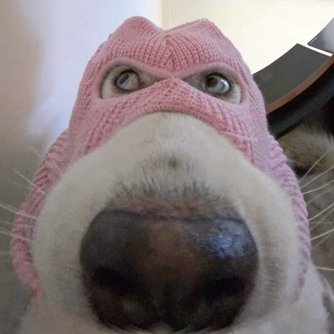 小力士