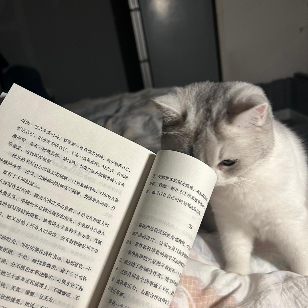 郑州市管城回族区睿桑百货商行