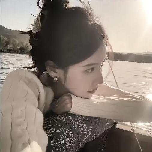 小 L^