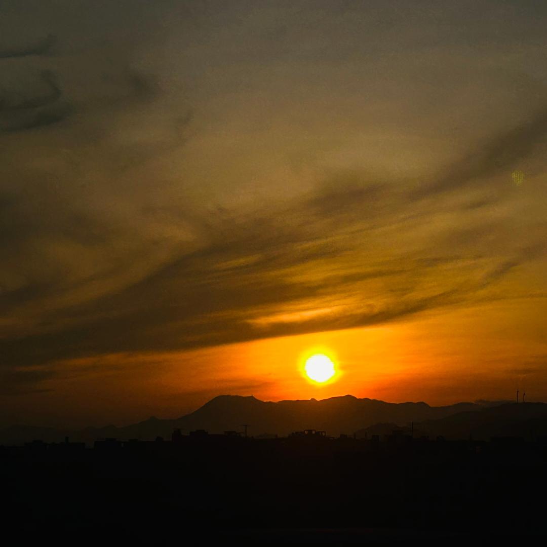 花开富贵🔥富贵人生