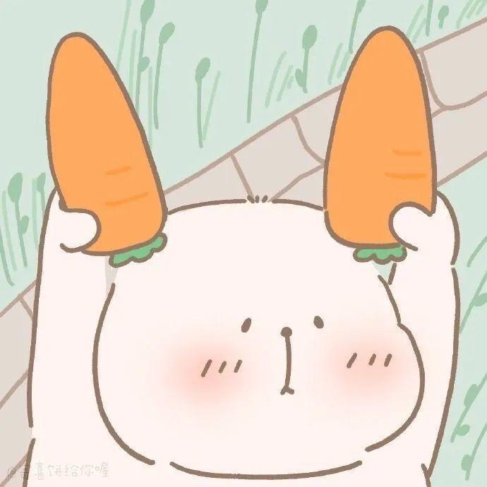 大vv的减肥日记