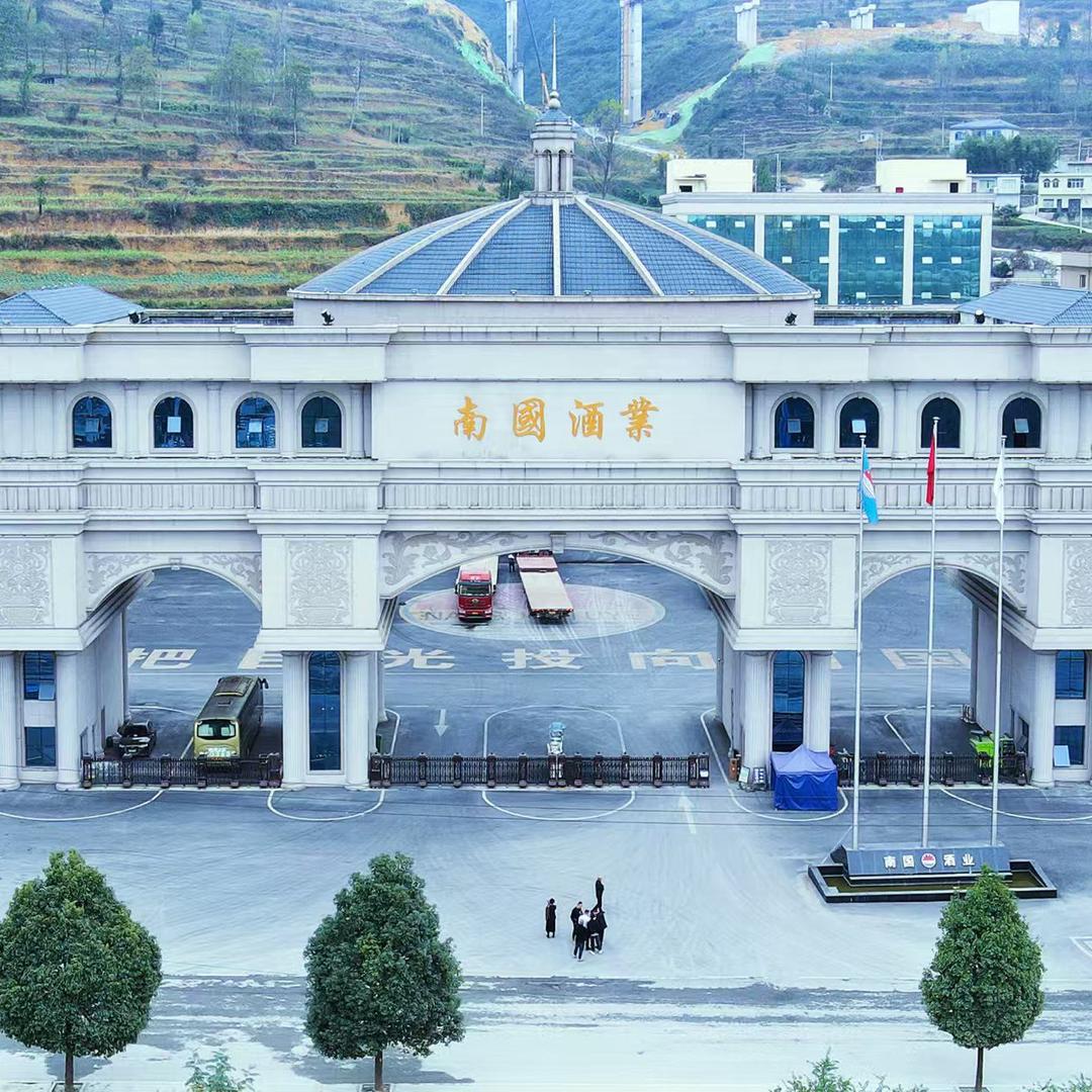 南国酒业·大唐天子