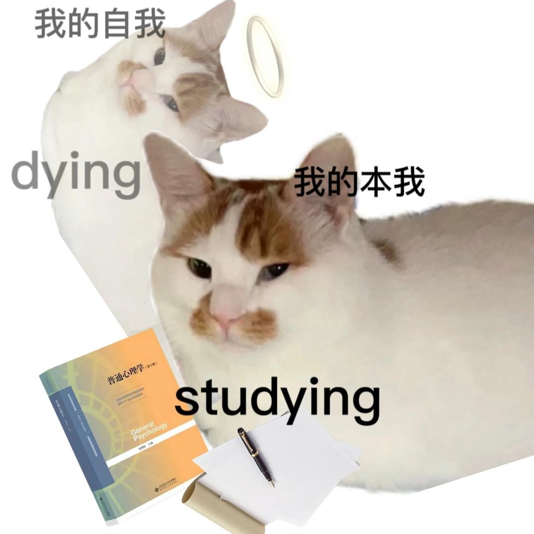 薄荷荷荷荷
