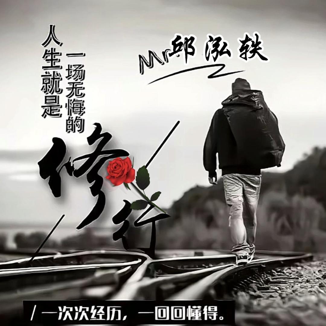 我只适合做导演