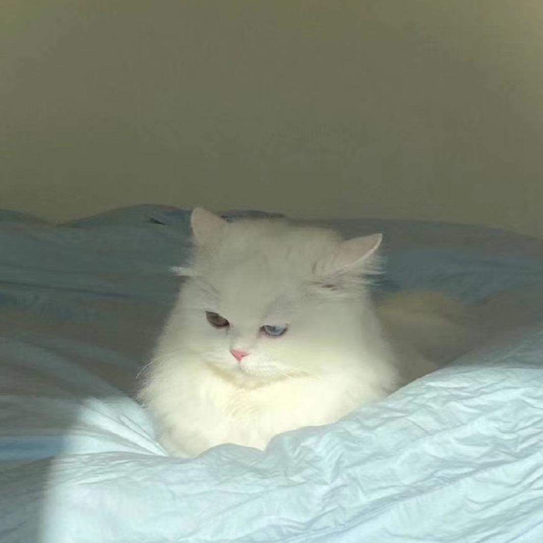 🔆