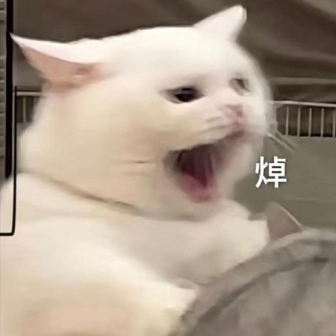 周周