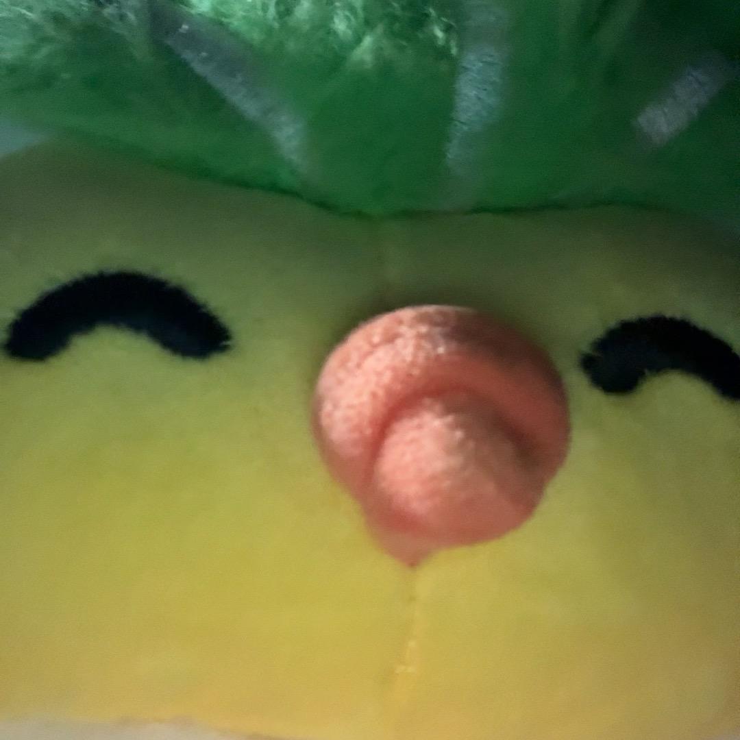 徐必成的狗🌽