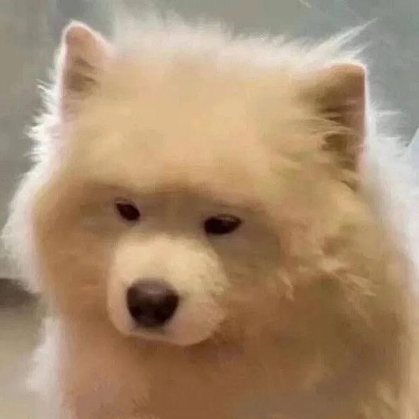望月徊