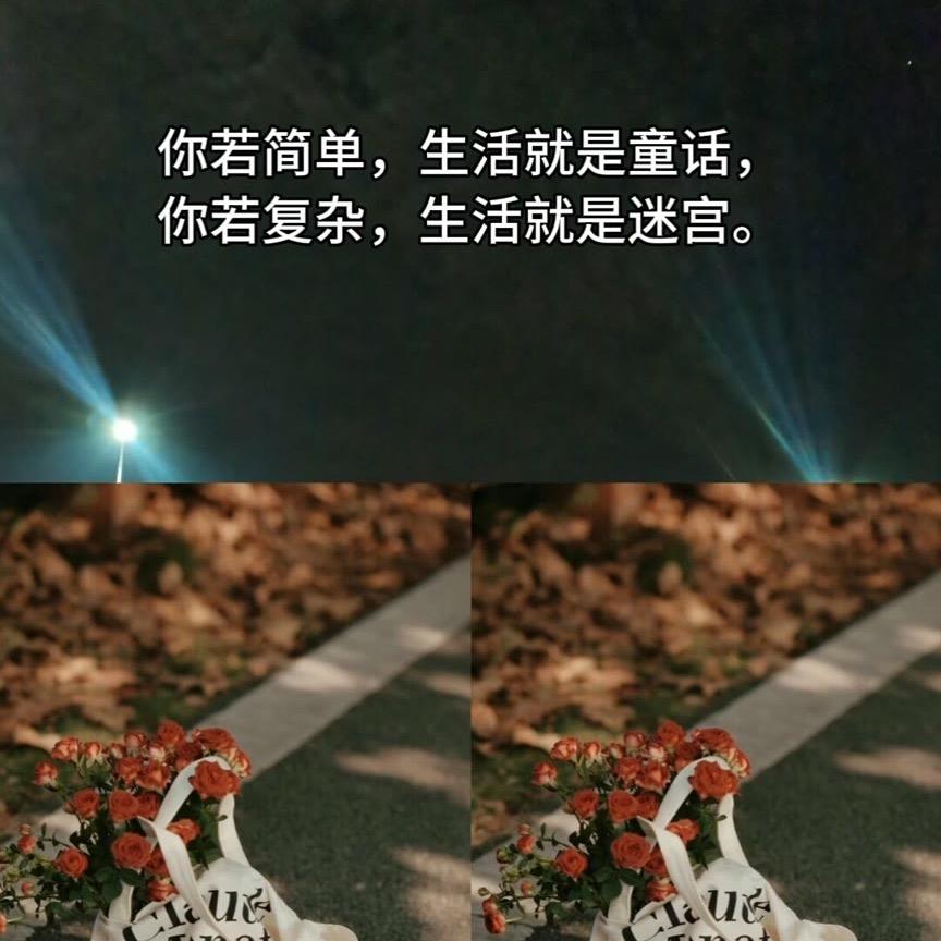 只为遇见你🌵