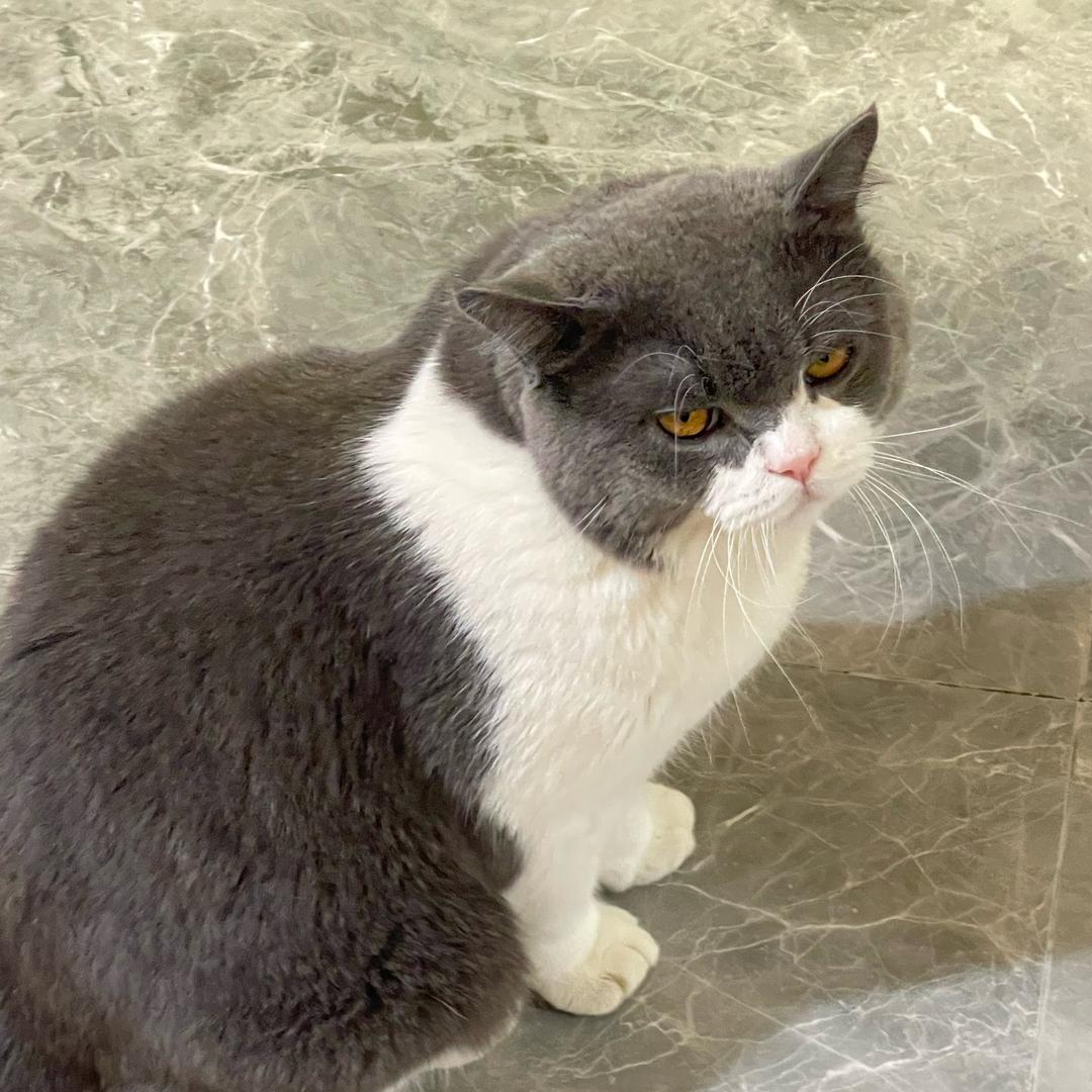 用户37012358725642589