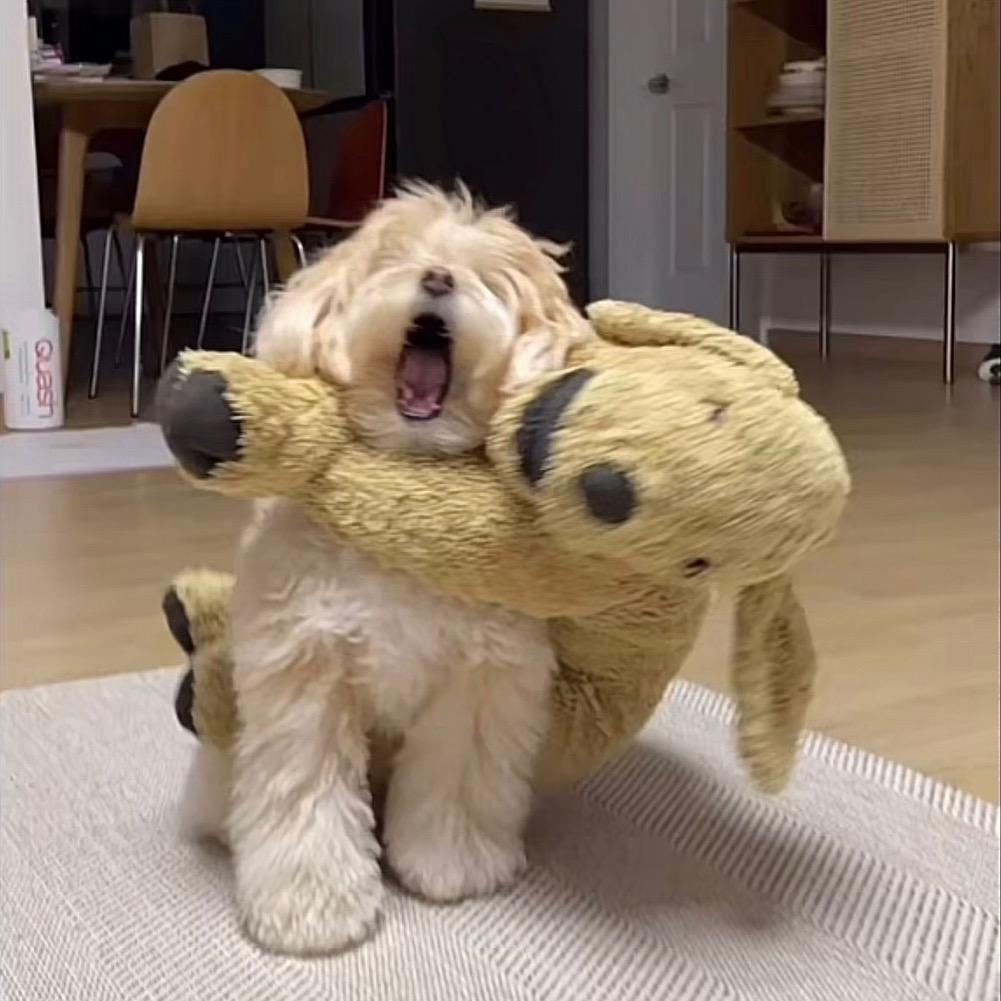 肯德基搜汉堡王