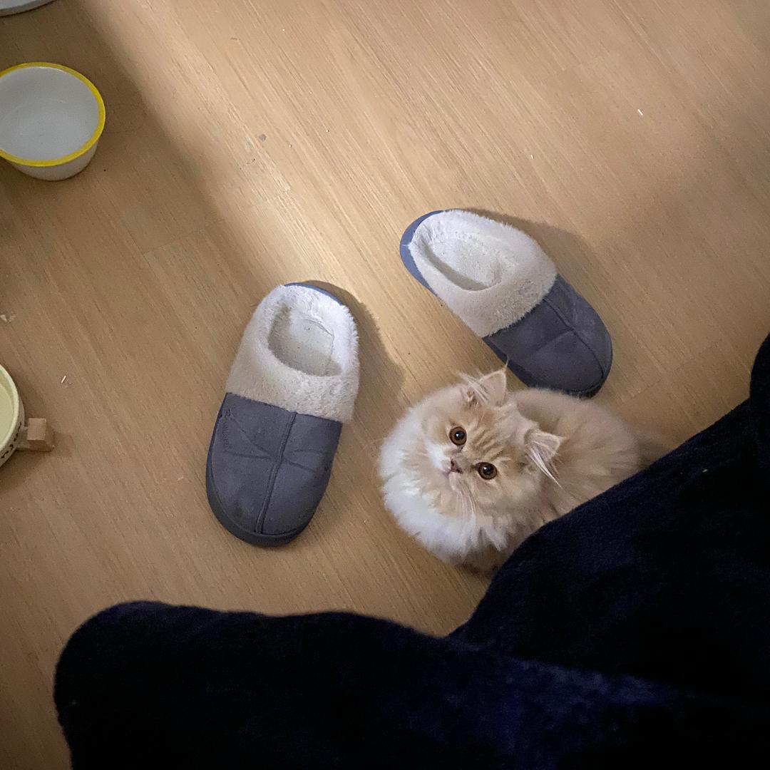 木里金根头像