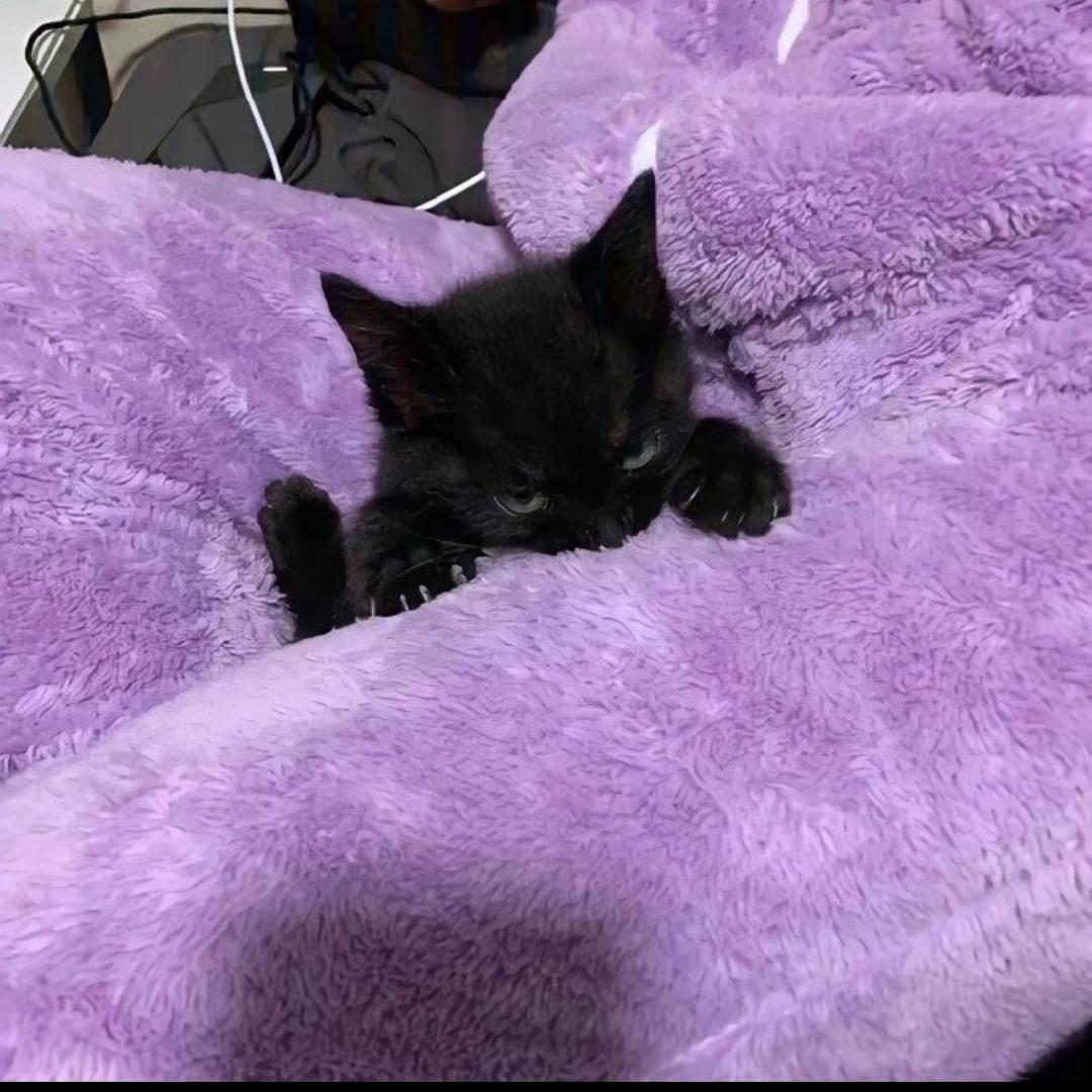 想去海里开飞机