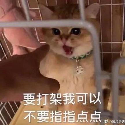 今天又快乐了