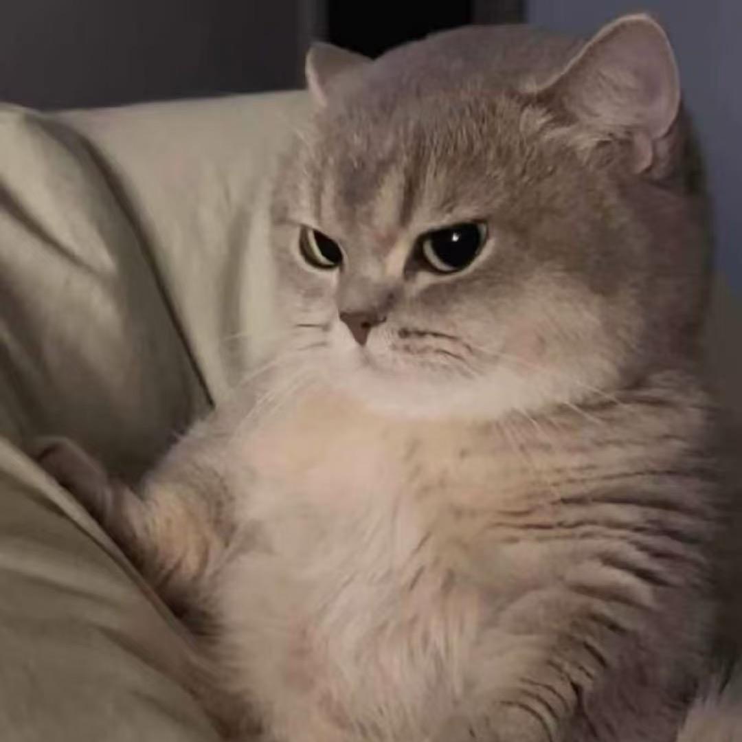 AAAAA我上就我上